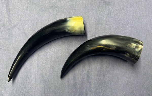 COWHORN POLISHED