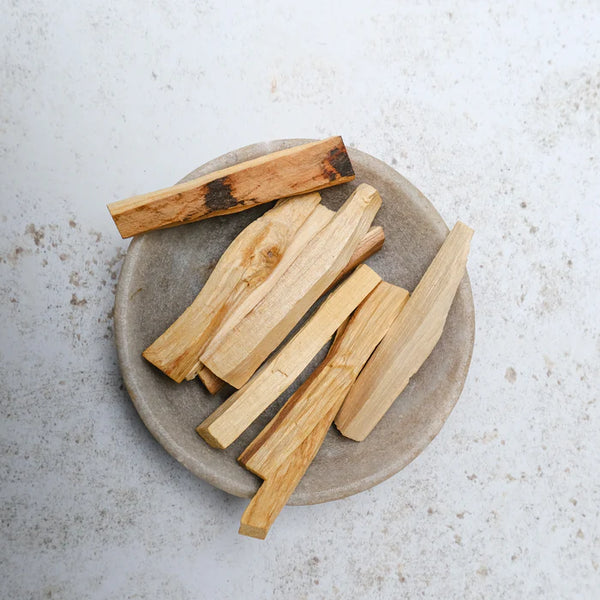 PALO SANTO