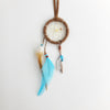 1.5 Magical Dreamcatcher