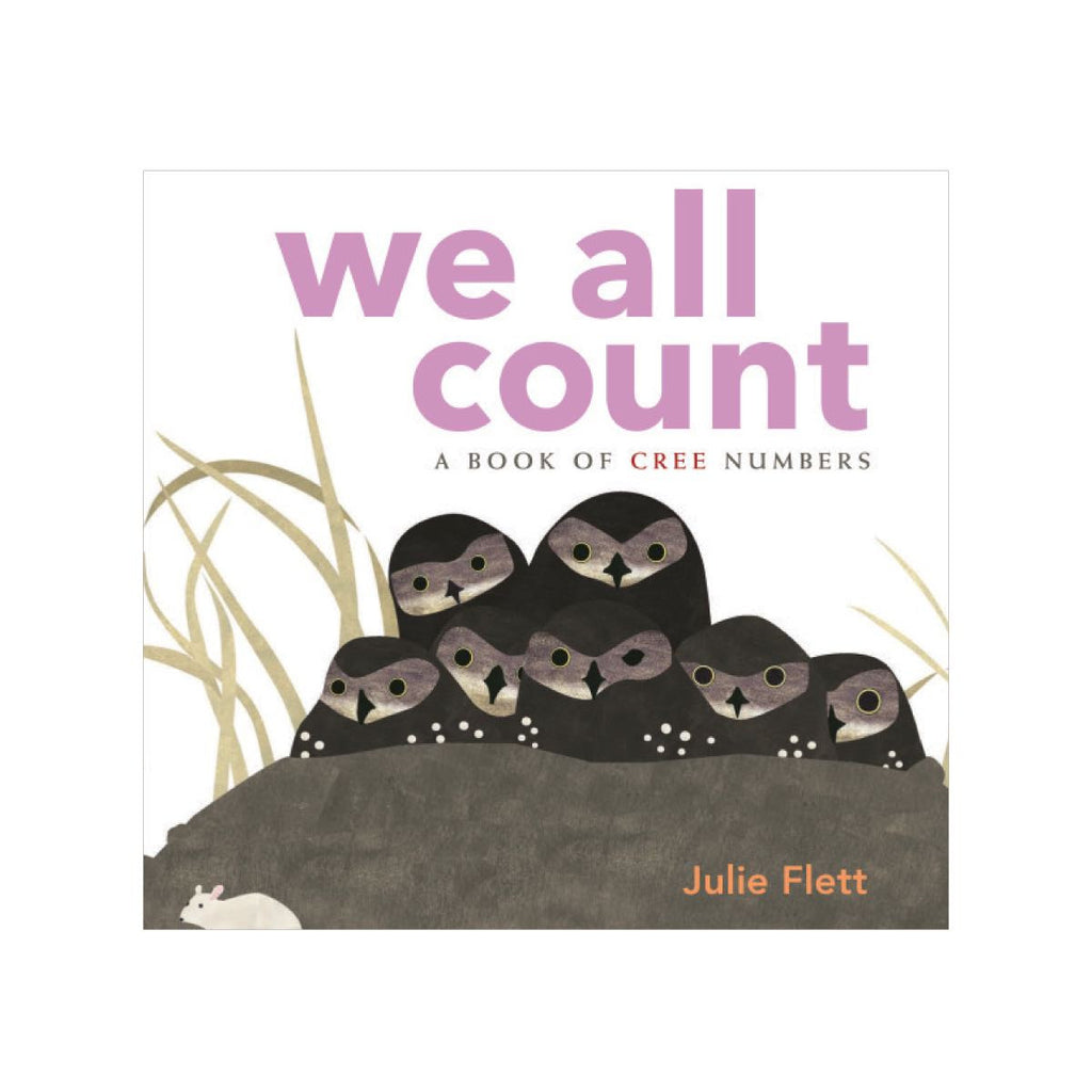 BOARD BOOK