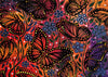ART CARDS - BETTY ALBERT