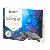 Soapstone Carving Kit