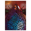 ART CARDS - BETTY ALBERT
