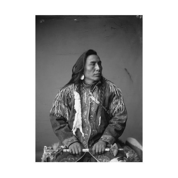 POSTCARDS